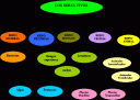 niveles-de-clasificacion-seres-vivos.gif